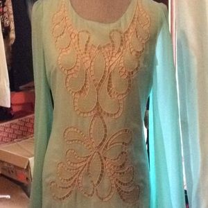 Long sleeved sheer dress